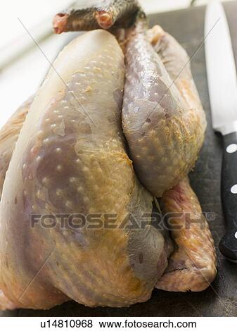 Whole Guinea Fowl on a Chopping Board View Large Photo Image Stock Photo - Whole Guinea Fowl on a Chopping Board. Fotosearch