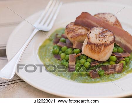 Stock Image - Pan Fried Scallops with Peas and Bacon. Fotosearch