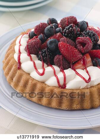 Whipped Cream and Berry Sponge Flan View Large Photo Image Stock Photo - Whipped Cream and Berry Sponge Flan. Fotosearch