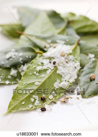 Bay leaves with sea salt View Large Photo Image Stock Image - Bay leaves with sea salt. Fotosearch
