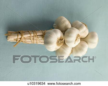 Picture - Bulbs of Garlic Overhead. Fotosearch