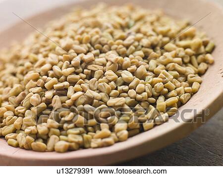 Dish of Fenugreek Seeds View Large Photo Image Stock Image - Dish of Fenugreek Seeds. Fotosearch