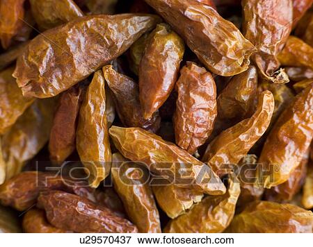 Stock Photo - Dried Birds Eye Chilies. Fotosearch