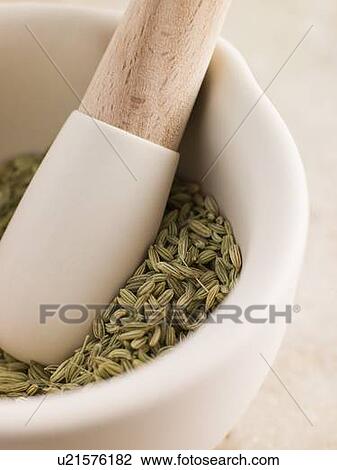 Stock Image - Fennel Seeds in a Pestle and Mortar. Fotosearch
