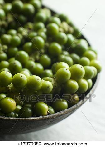 Stock Image - Green Peppercorns on the vine. Fotosearch