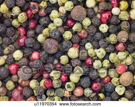 Mixed pepper corns View Large Photo Image Picture - Mixed pepper corns. Fotosearch