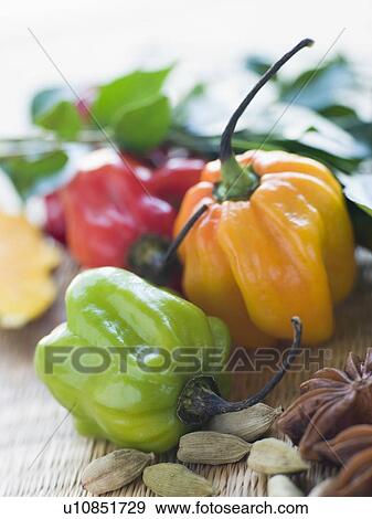 Selection of Asian Spices View Large Photo Image Stock Photo - Selection of Asian Spices. Fotosearch