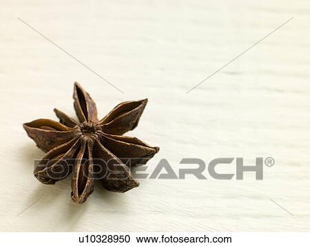 Star anise View Large Photo Image Stock Image - Star anise. Fotosearch