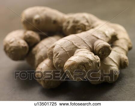 Stock Photography - Stem of Ginger. Fotosearch