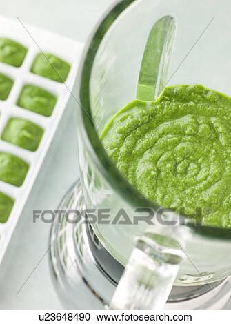 Broccoli and Spinach baby Food Puree in a Food Blender View Large Photo Image Stock Image - Broccoli and Spinach baby Food Puree in a Food Blender. Fotosearch