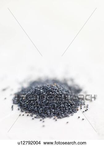 Picture - Poppy seeds. Fotosearch