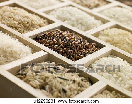 Selection of Rices View Large Photo Image Stock Image - Selection of Rices. Fotosearch