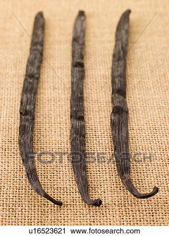 Stock Image - Vanilla pods. Fotosearch