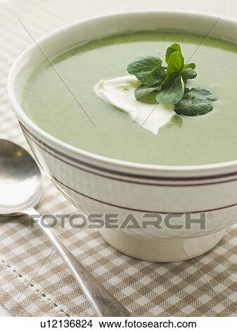 Bowl of Watercress Soup with Cr me Fraiche View Large Photo Image Picture - Bowl of Watercress Soup with Cr me Fraiche. Fotosearch