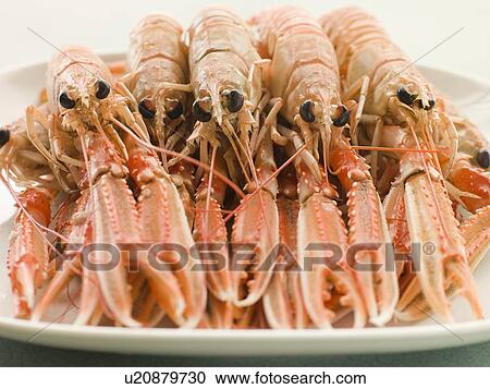 Stock Image - Platter of Langouste. Fotosearch