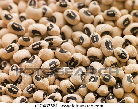 Black eyed beans View Large Photo Image Stock Image - Black eyed beans. Fotosearch