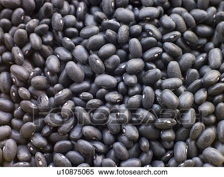 Stock Photography - Black turtle beans. Fotosearch