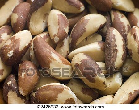 Brazil nuts View Large Photo Image Stock Image - Brazil nuts. Fotosearch