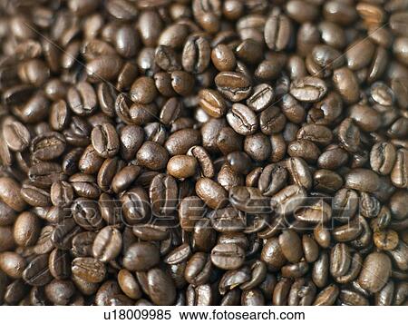 Coffee beans View Large Photo Image Stock Photography - Coffee beans. Fotosearch