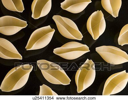 Conchiglioni Pasta Shell View Large Photo Image Picture - Conchiglioni Pasta Shell. Fotosearch