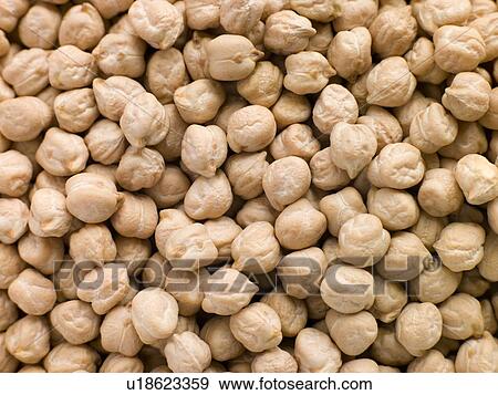 Dried chickpeas View Large Photo Image Stock Photo - Dried chickpeas. Fotosearch