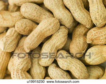 Stock Image - Peanuts in shells. Fotosearch