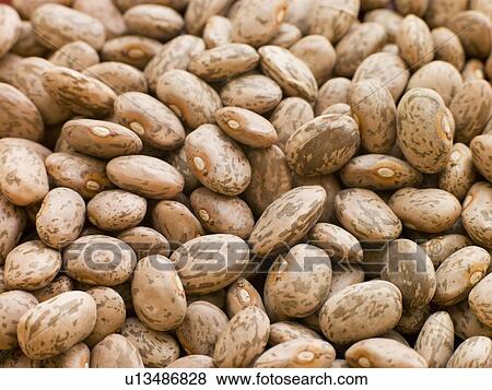 Pinto beans View Large Photo Image Stock Photo - Pinto beans. Fotosearch