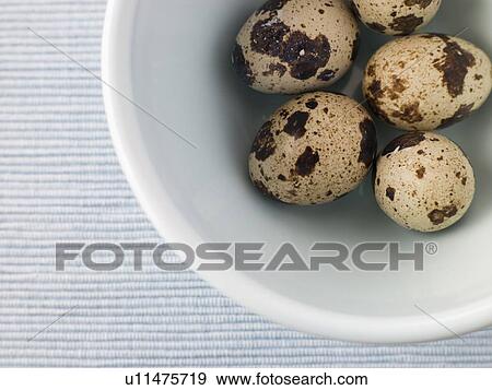Stock Photo - Quails egg. Fotosearch