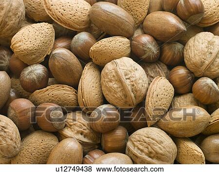 Selection of Mixed Nuts in Shell View Large Photo Image Stock Photo - Selection of Mixed Nuts in Shell. Fotosearch