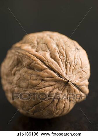Walnut View Large Photo Image Stock Photograph - Walnut. Fotosearch