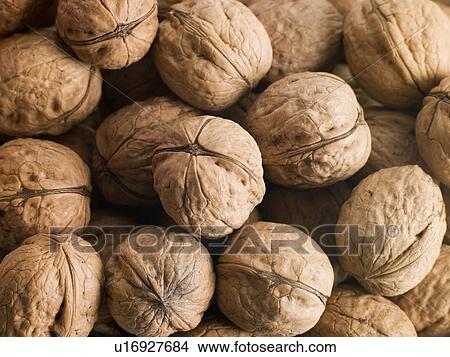 Walnuts View Large Photo Image Picture - Walnuts. Fotosearch