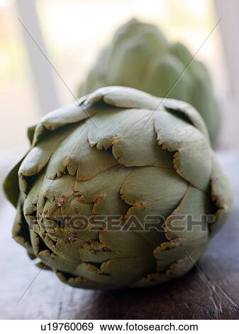 Stock Photo - Artichoke. Fotosearch
