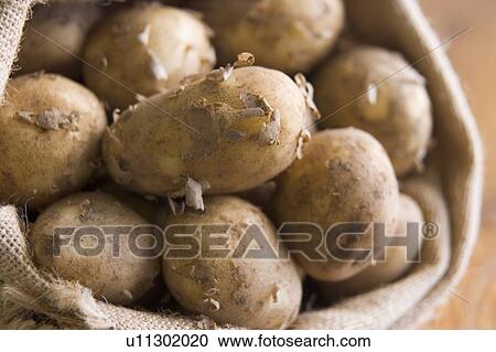 Bag of Jersey Royal Potatoes View Large Photo Image Stock Image - Bag of Jersey Royal Potatoes. Fotosearch