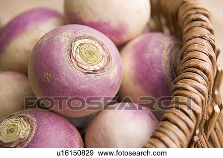 Basket of turnips View Large Photo Image Stock Photo - Basket of turnips. Fotosearch