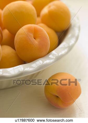 Bowl of Apricots View Large Photo Image Stock Image - Bowl of Apricots. Fotosearch