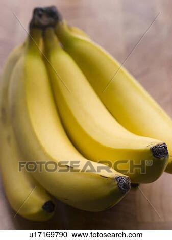 Bunch of Bananas View Large Photo Image Stock Image - Bunch of Bananas. Fotosearch