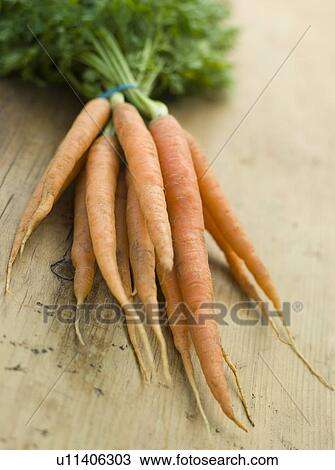 Bunch of fresh carrots View Large Photo Image Stock Image - Bunch of fresh carrots. Fotosearch