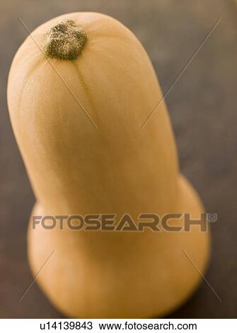 Stock Image - Butternut squash. Fotosearch