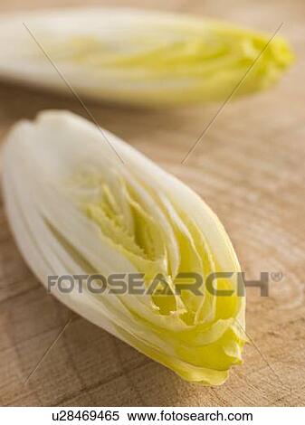 Stock Photography - Chicory. Fotosearch