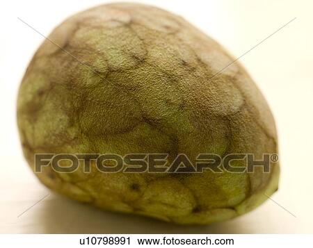 Custard apple, cherimoya View Large Photo Image Stock Image - Custard apple, cherimoya. Fotosearch