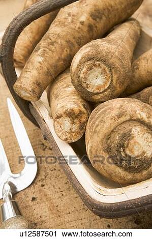 Parsnips in wooden trug View Large Photo Image Stock Image - Parsnips in wooden trug. Fotosearch