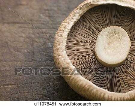 Stock Image - Portobello mushroom. Fotosearch