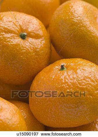 Satsumas View Large Photo Image Stock Photo - Satsumas. Fotosearch