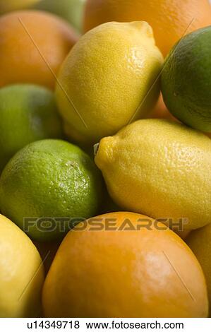 Selection of Citrus Fruits View Large Photo Image Stock Photo - Selection of Citrus Fruits. Fotosearch
