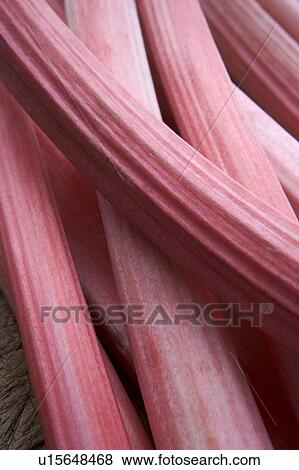 Stock Photo - Sticks of rhubarb. Fotosearch