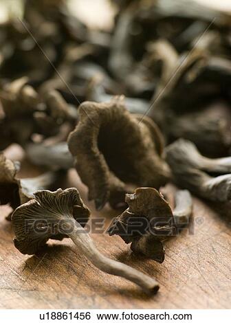 Wild mushrooms View Large Photo Image Stock Photograph - Wild mushrooms. Fotosearch