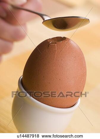 Boiled Egg being cracked open with a spoon View Large Photo Image Stock Photo - Boiled Egg being cracked open with a spoon. Fotosearch