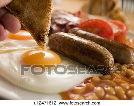 Dipping Toast into a Fried Egg on a Full English Breakfast View Large Photo Image Stock Image - Dipping Toast into a Fried Egg on a Full English Breakfast. Fotosearch