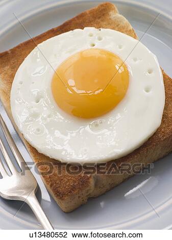 Fried Egg on White Toast View Large Photo Image Stock Image - Fried Egg on White Toast. Fotosearch