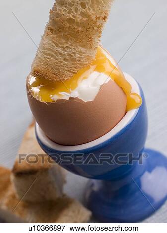 Toasted Soldier being Dipped into a Runny Yolk View Large Photo Image Stock Photo - Toasted Soldier being Dipped into a Runny Yolk. Fotosearch